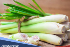 Sering Konsumsi Rebusan Batang Serai? Ini 9 Manfaatnya untuk Kesehatan