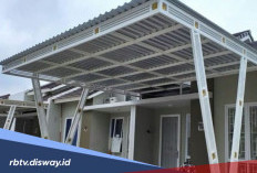 Perbandingan Atap Alderon dan Genteng Seng, Mulai dari Harga dan Kenyamanannya