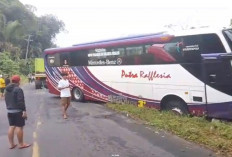 Hindari Adu Kambing dengan Avanza, Bus Putra Raflesia Terperosok di Kabupaten Seluma
