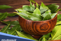 12 Manfaat Daun Salam untuk Kesehatan, Ini Bermacam Kandungannya