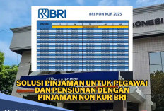 Tidak Bisa Ajukan KUR BRI? Inilah Solusi Pinjaman untuk Pegawai dan Pensiunan Skema Non KUR BRI