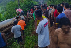 Tersangkut di Pohon, Mobil Kades Sinar Pagi Seluma Utara Nyaris Terjun ke Jurang