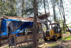 Penataan Pantai Panjang Bengkulu Dikebut, Sehmi: Wujudkan Kawasan Wisata Tertib, Nyaman dan Berdaya Saing