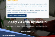 5 Kriteria Calon Debitur Pinjaman Rp 500 Juta KSM Mandiri Langsung di ACC