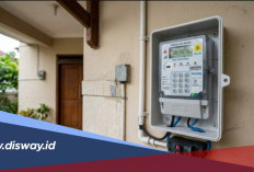 Tarif Listrik PLN Terbaru Hari Ini 14 September 2026 Berdasarkan Sektor dan Golongan