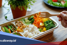 3 Ide Menu Bekal Kantor Senin Pagi, Simpel dan Bergizi