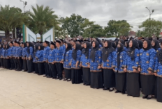 Segini Besaran Gaji PPPK Paruh Waktu Bengkulu Per Bulan