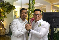 BPD HIPMI Bengkulu Resmi Serahkan Rekomendasi kepada Ade Jona Prasetyo untuk Maju sebagai Ketua Umum BPP HIPMI