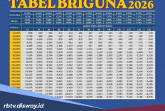 ASN Pinjaman BRIguna Rp 20 Juta Bisa Cair dalam 15 Menit Lewat BRImo, Begini Caranya
