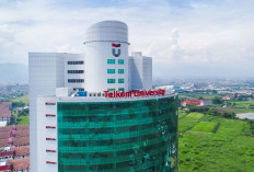 Buruan Daftar! Telkom University Jakarta Buka Lowongan Kerja Buat D3/S1 untuk Posisi Ini