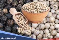 Begini Cara Mengolah Merica Supaya Bisa Mendapatkan 6 Manfaat Kesehatannya 