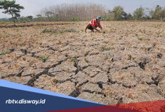 Catat Ya, Ini Wilayah yang Masuk Puncak Musim Kemarau pada Agustus 2026