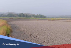 BMKG Tetapkan Status Awas Kekeringan Meteorologis di 18 Wilayah, Daerahmu Termasuk?