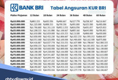 Update Bunga Pinjaman KUR BRI Terbaru, Pilih Tenor Sesuai Kemampuan Bayar