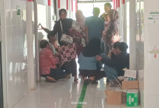 IRT Asal Ilir Talo Meninggal Dunia Pasca Tenggak Racun Rumput 