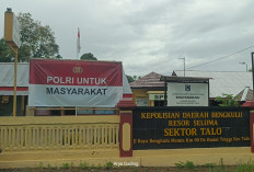 Diduga Perkara Tersinggung, Pelaku Penikam Oknum PNS Seluma Diamankan Polsek Talo