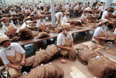 Paling Ditunggu Pekerja, Seperti Ini Gambaran UMK Kota Bengkulu 2026