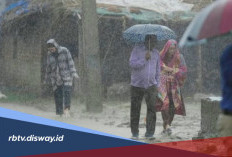 Waspada Potensi Hujan Sedang hingga Lebat dan Angin Kencang di Wilayah Ini