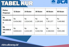 Syarat dan Ketentuan Pinjaman KUR BCA Rp 75 Juta, Cek Apa saja Kendala yang Sering Terjadi
