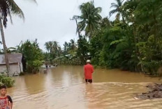 Banjir Terjang 14 Desa di Seluma, Akses Jembatan Putus hingga Ratusan Rumah Terendam