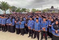 Besaran Gaji Perdana PPPK Paruh Waktu Pemprov Bengkulu, Cair Februari 2026
