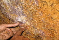 Besides Grasberg, Papua Indonesia Still Has Gold Mines