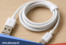 Awas Salah Beli, Ini 5 Tips Memilih Kabel Data yang Berkualitas 