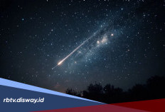 Apakah Hujan Meteor Perseid dan Kappa Cygnid Berbahaya bagi Manusia?
