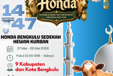 Rayakan Idul Adha 1447 H, Astra Motor Bengkulu Berbagi Hewan Kurban