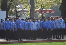 Jadwal Seleksi PPPK Kemenham 2026, Jangan Sampai Terlewat