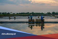 KUR BRI Juni Rp 80 Juta, Pinjaman Modal Usaha dengan Cicilan Ringan