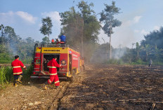 Lahan Perkebunan di Rejang Lebong Terbakar, Warga Diminta Selalu Waspada