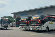 Update Harga Tiket Bus PO Eka Mira Berbagai Rute untuk Mudik Lebaran 2026 