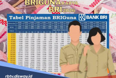 Pinjaman BRI 2026 yang Aman Diajukan Pinjaman BRIguna Lewat Online