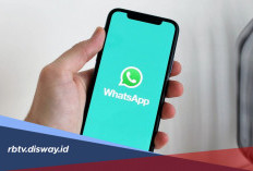 Cara Membersihkan Penyimpanan WhatsApp di Android dan iPhone, Memori Lega dan Tidak Lemot