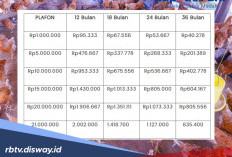 Solusi Pinjaman KUR BRI Rp 250 Juta Tidak ACC, Segera Ajukan Kupedes BRI, Ini Syarat Lengkapnya
