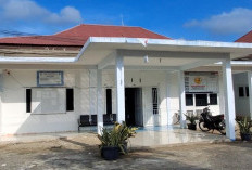 Infonya Ada Jaringan Internet Ilegal di Kedurang, Dinas Kominfo Bengkulu Selatan Pastikan Tak Keluarkan Izin 