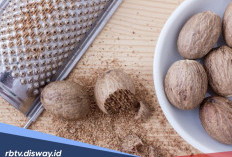 Kaya akan Kandungan Nutrisi, Berikut Manfaat Biji Pala untuk Kesehatan