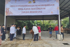 Polda Bengkulu Berkurban 18 Ekor Sapi dan 6 Kambing untuk Masyarakat yang Berhak