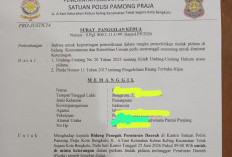 Oknum Penebang Pohon di Pantai Panjang Mangkir, Pj Sekda Instruksi Kirim Surat Kedua atau Jemput Paksa