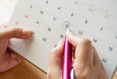 Kapan Rekrutmen CPNS Polhut di KLHK Dibuka? Ini Dia Bocoran Jadwalnya