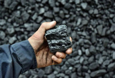 Indonesian Coal Threatened with Exhaustion, How Many Remaining Reserves Are There?
