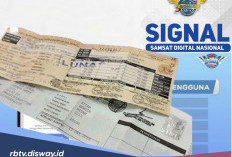 Cara Mudah Cek Tagihan Pajak Mobil Cuma Lewat HP, Biar Tidak Kaget saat Bayar