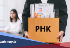 10 Provinsi dengan PHK Terbanyak hingga September 2026, Siapa Tempati Posisi Pertama?