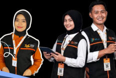 Sensus atau Modus? Kenali Atribut Wajib Petugas Sensus Ekonomi