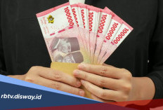 Full Senyum, Tunjangan Profesi Guru Non-ASN Cair Pekan Ini