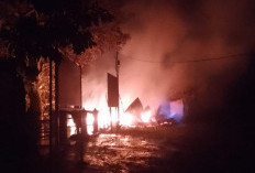 Taman Konservasi Bunga Rafflesia di Liku Sembilan Terbakar, Ada Dugaan Disengaja