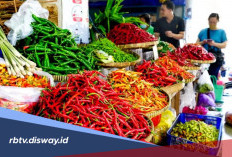 Harga Pangan di Bengkulu Hari Ini, Cabai Rawit Makin Pedas