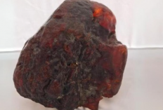 Seorang Nenek Ambil Batu di Sungai untuk Ganjalan Pintu, Ternyata Harta Karun Seharga Rp 17 Miliar