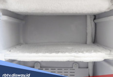 5 Penyebab dan Cara Mengatasi Penumpukkan Bunga Es di Kulkas